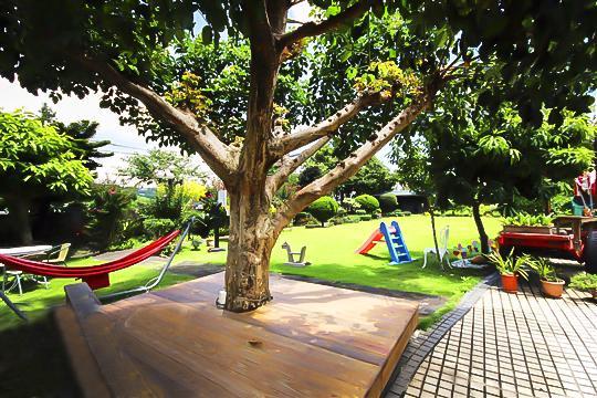 Taichung Xinshe Garden Life Homestay B&B Esterno foto