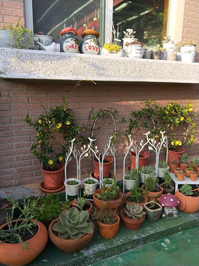 Taichung Xinshe Garden Life Homestay B&B Esterno foto