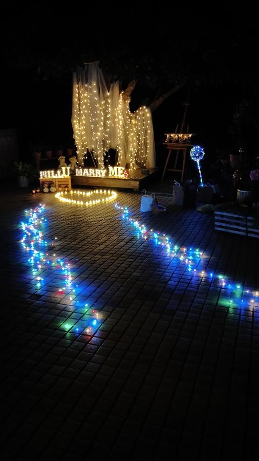 Taichung Xinshe Garden Life Homestay B&B Esterno foto